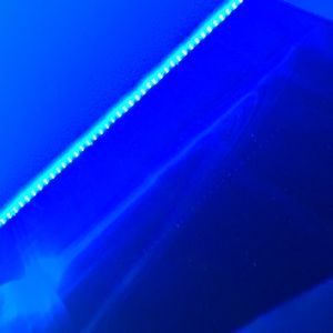 Meet your Posher, Timmothy